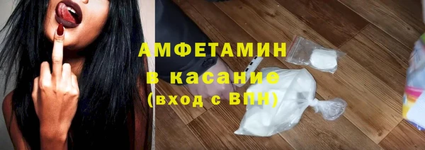 хмурый Аркадак