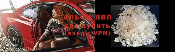 хмурый Аркадак