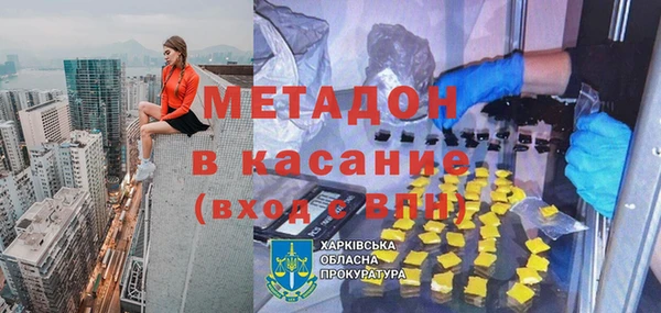 хмурый Аркадак