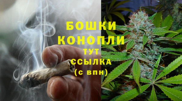 ГАЛЛЮЦИНОГЕННЫЕ ГРИБЫ Армянск