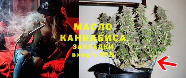 хмурый Аркадак